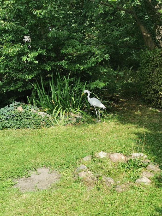 Pension Zum Park Goldberg Dış mekan fotoğraf