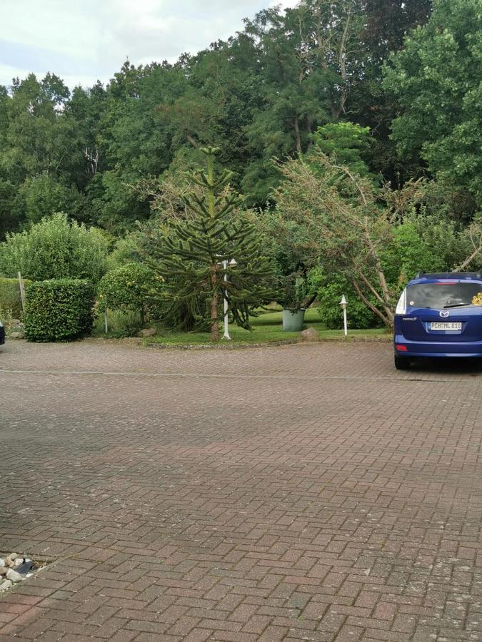 Pension Zum Park Goldberg Dış mekan fotoğraf