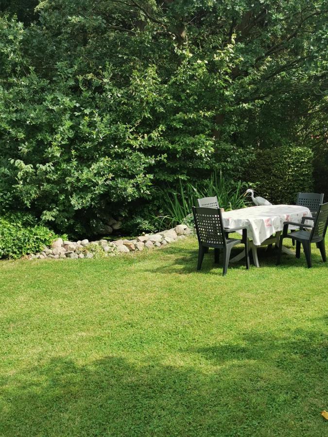 Pension Zum Park Goldberg Dış mekan fotoğraf
